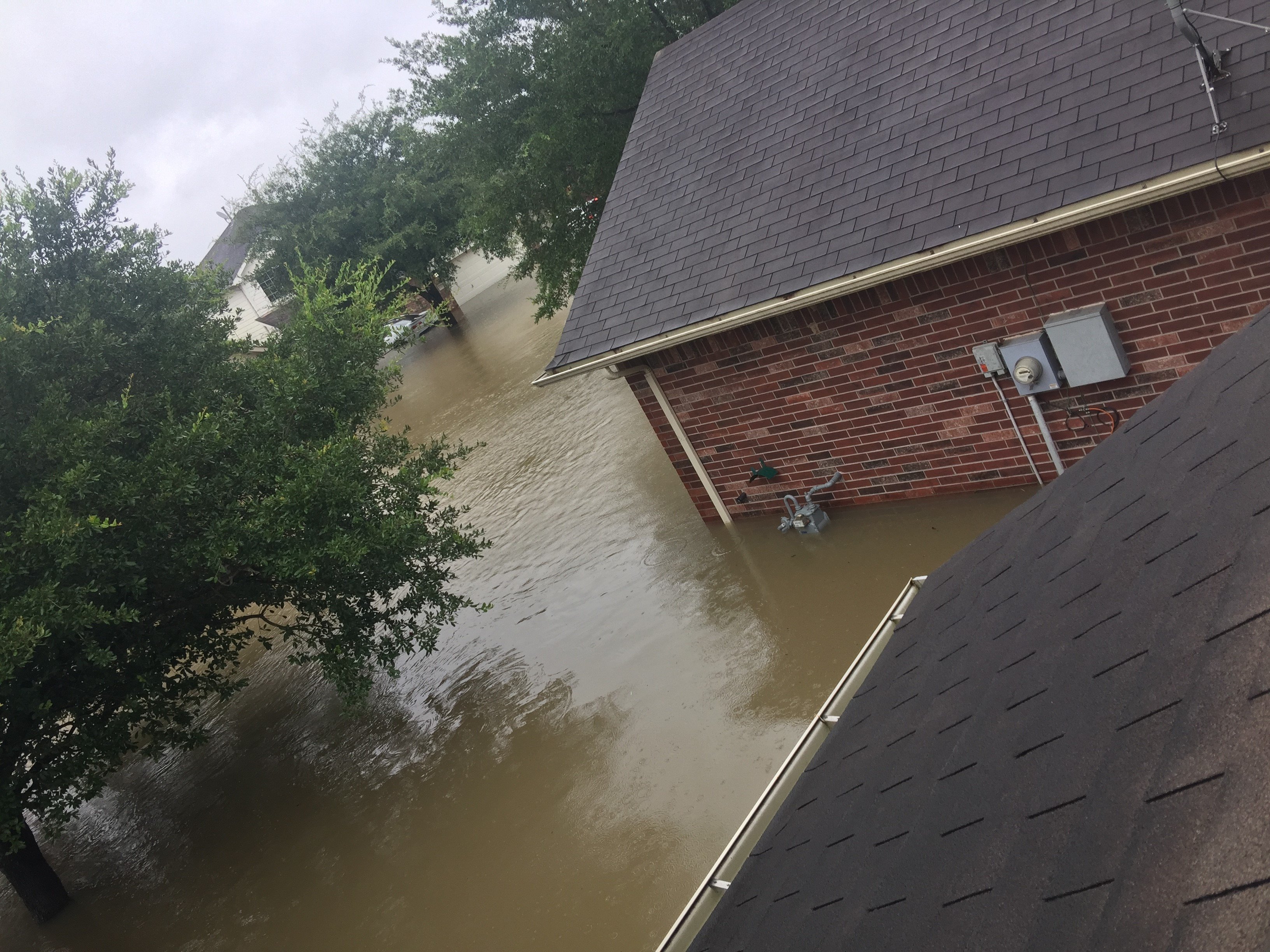 Chris Krok: Trapped in the Flood