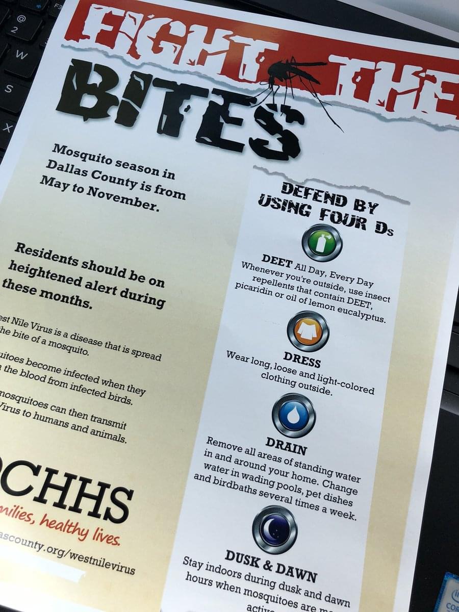 Dallas County Issues Strong Warning About Mosquito Prevention