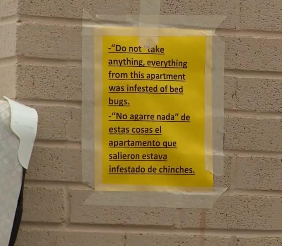A Bed Bug Infestation at a Grand Prairie Apartment Complex