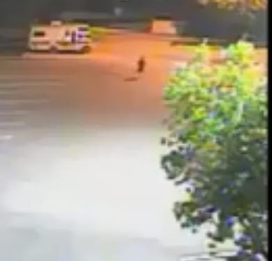 Arlington Robbery Victim Clings to Life