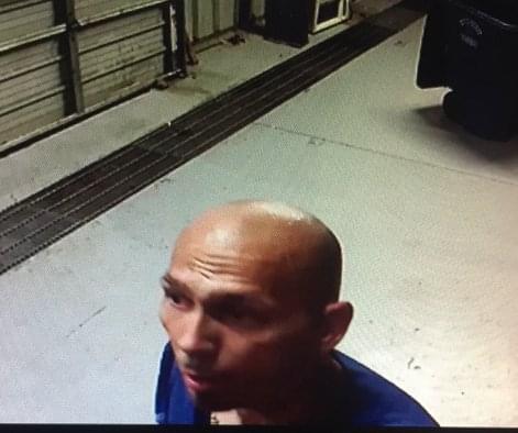 Dallas Police asking for help identifying burglar