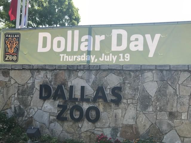 North Texans Brave the Heat for ‘Dollar Day’ at the Dallas Zoo