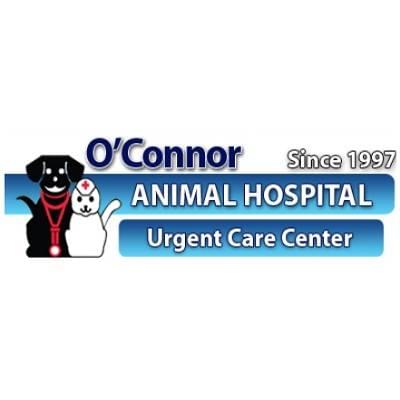 Owner of Animal Hospital Says Woman Mauled By Her Dogs Walked Them Because They Were Too Aggressive