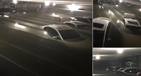 Cars Almost Fully Submerged in Dallas Love Field Parking Lot