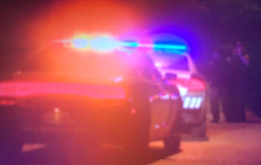 Elderly Woman Shot Dead While Sleeping in a Car With Her Dogs