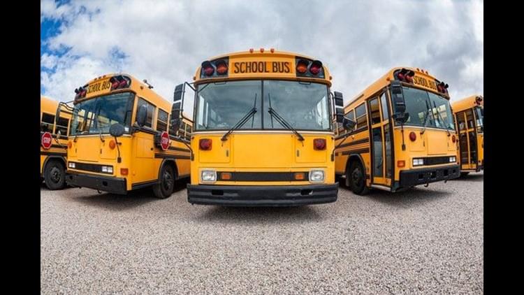 Chris Krok-Walking to School