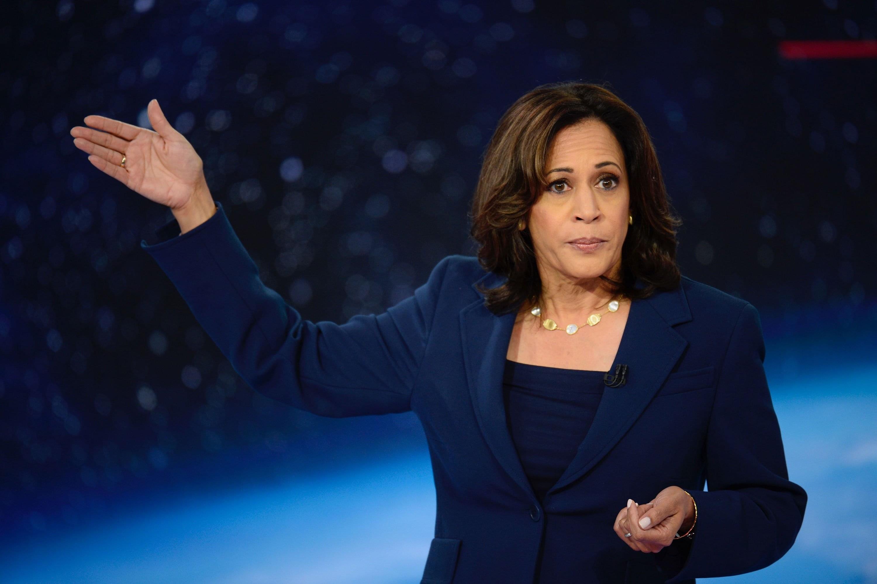Harris Has Support of Enough Democratic Delegates to Become Party’s Presidential Nominee: AP Survey