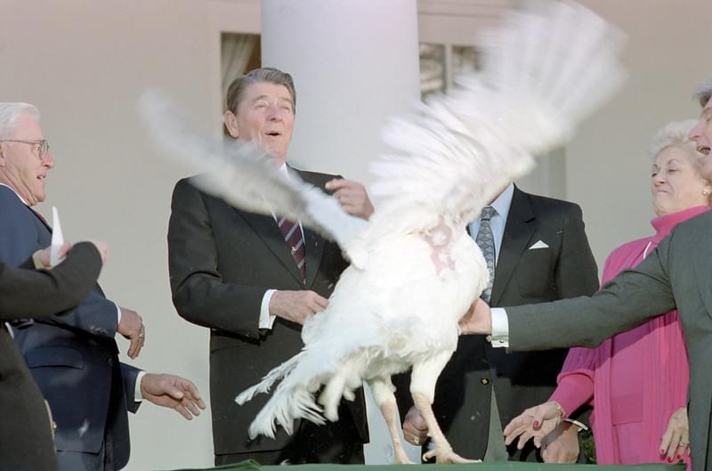 Chris Krok: Thanksgiving is Cancelled