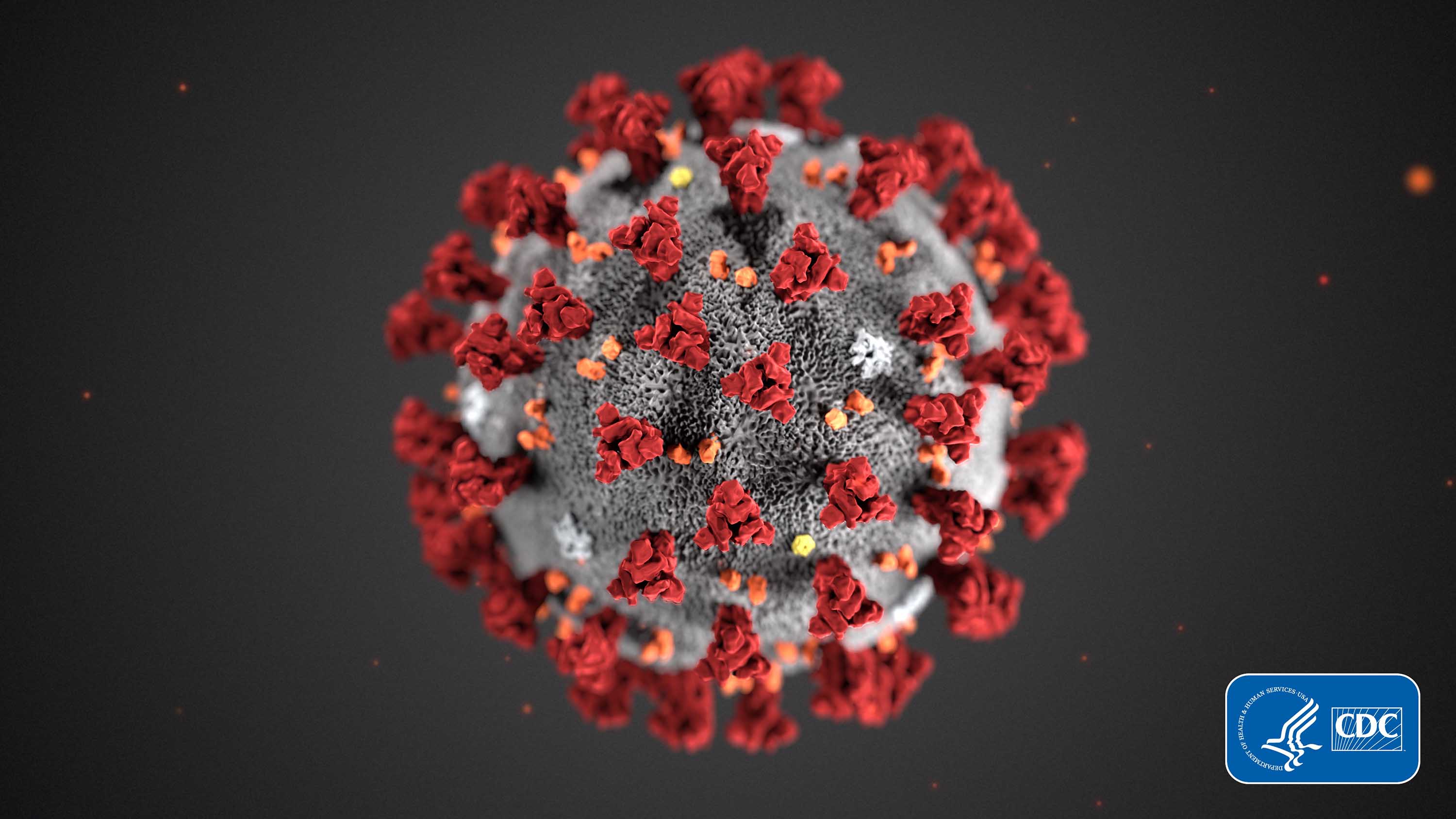 WBAP Morning News: Could Coronavirus Become the ‘Next Flu’?