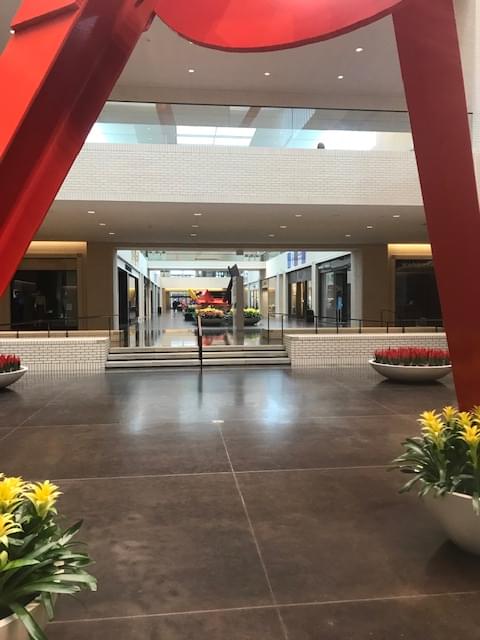 Coronavirus Prompts Mall Closings Across North Texas