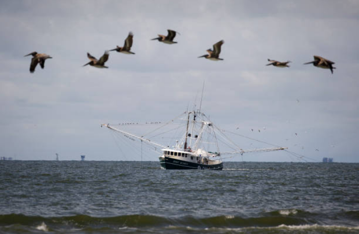 U.S. Coast Guard Searching South Texas Bayou for Missing Boaters After Distress Call