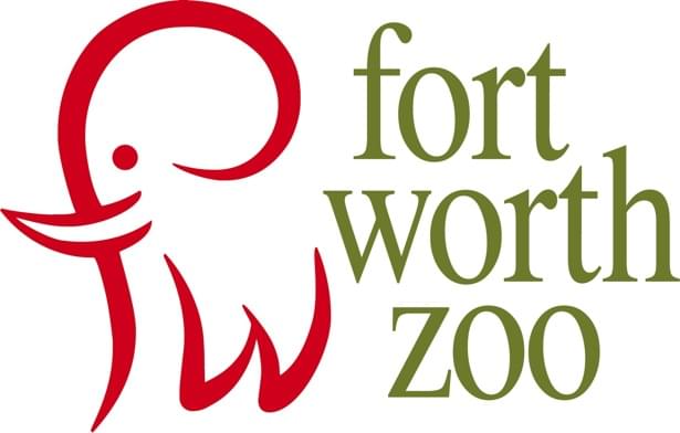 WBAP Morning News: Need Something to Do For the Kids? The Fort Worth Zoo Is Reopening!