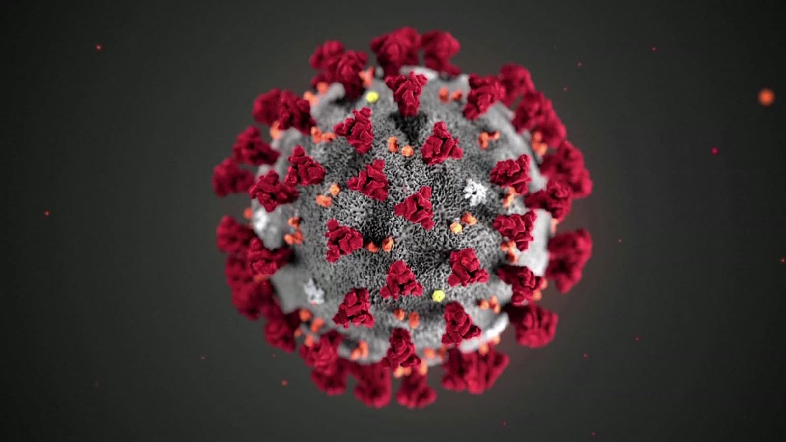 Texas Passes 10,000 Confirmed New Virus Cases in Single Day