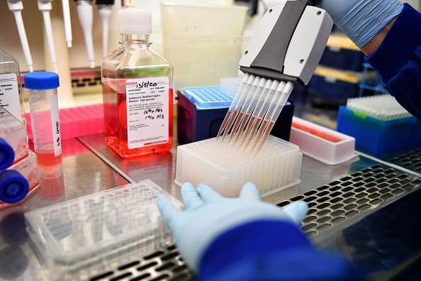 White House Nixes Updated FDA Guidelines on Vaccine Approval; Sides With Drug Makers