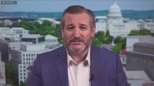 TX Senator Cruz Blasts V.P. Harris Visit To Border