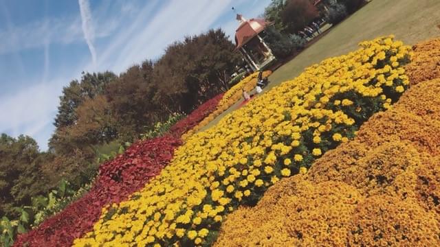 Dallas Arboretum Welcomes Visitors for Popular Spring Event