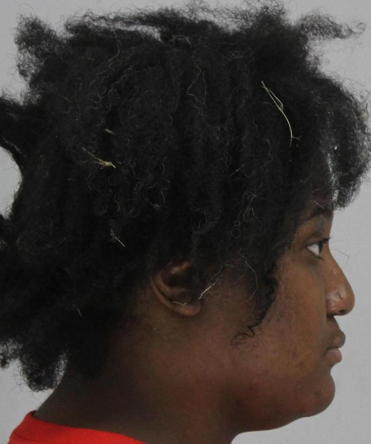 Woman Charged with Capital Murder in Stabbing of Young Girl