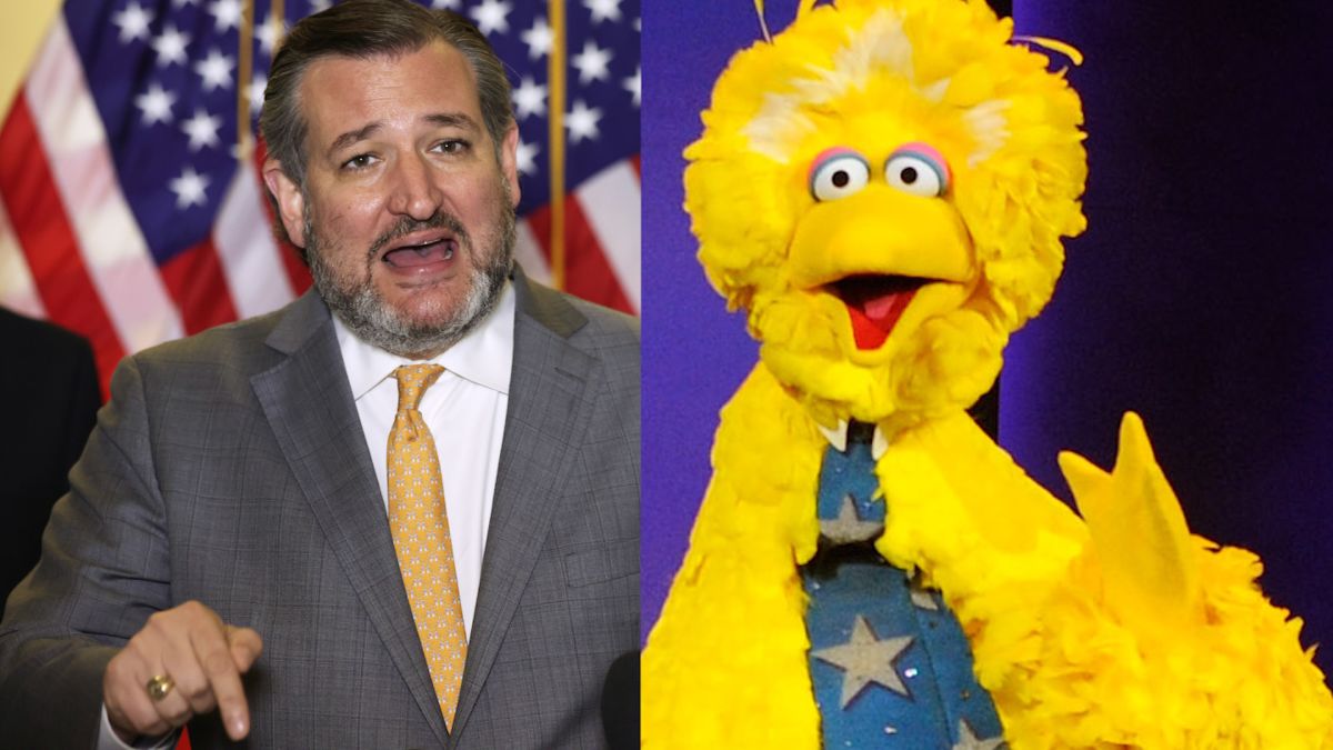 Chris Krok Show: Ted Cruz vs. Big Bird!