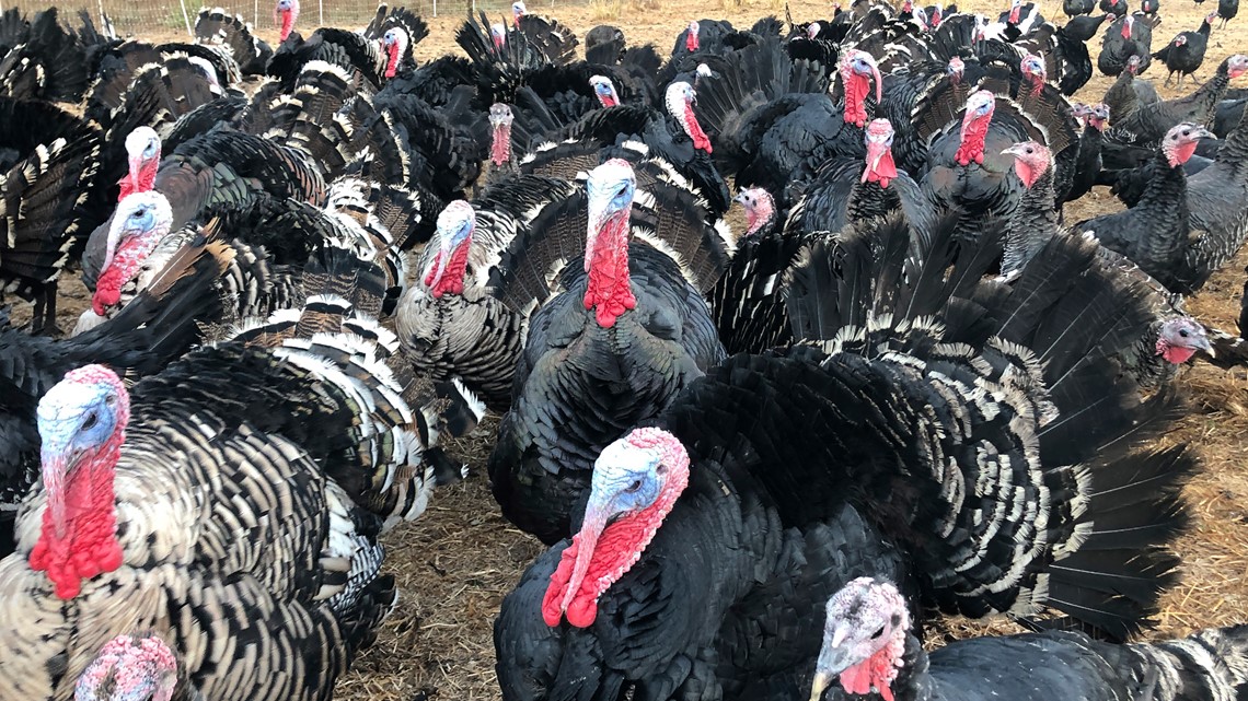 What’s Open; What’s Not This Thanksgiving Day