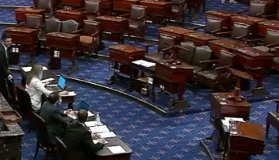 Senate Votes to Suspend Normal Trade Relations with Russia
