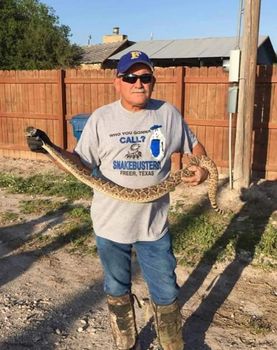 Rattlesnake Handler Dies Of Snakebite