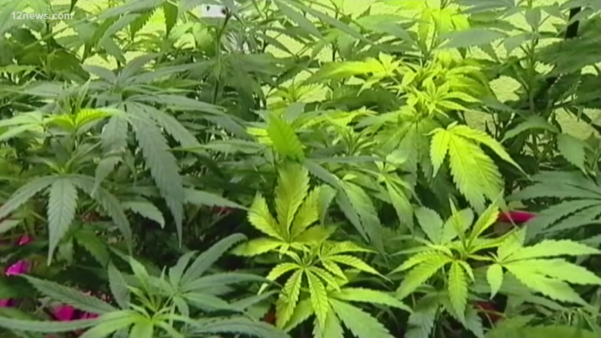 Chris Krok Show: The Cost of Legalizing Drugs! 