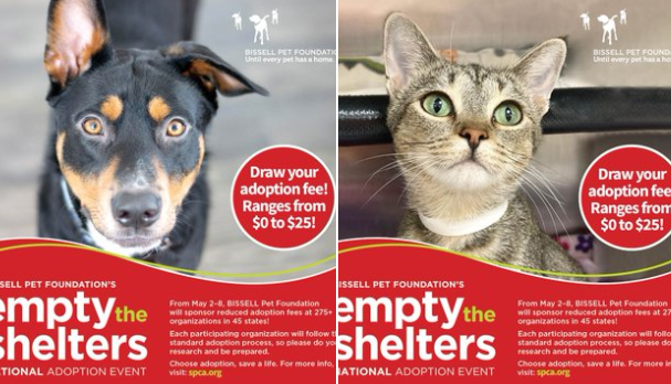 SPCA of Texas Hosting Weekend ‘Empty the Shelters’ Adoptapalooza Event