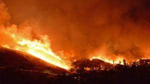 US Forest Service Admits to Causing Largest Wildfire in New Mexico’s History