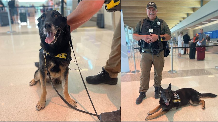 Terminally Ill Police Dog Retires