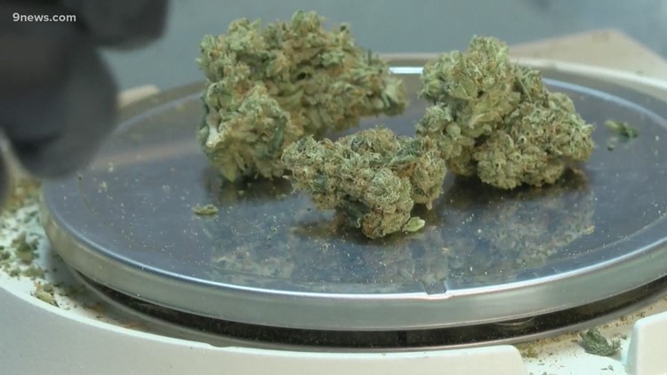 Decriminalize Denton on Home Stretch for Moratorium on Low-Level Pot Arrests/Citations