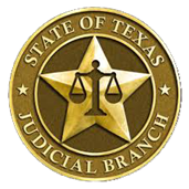 Collin County Creates Adult Mental Health Court