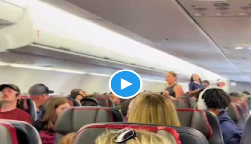 Woman Goes Viral During Rant About A ‘not Real Passenger On American Airlines Flight News