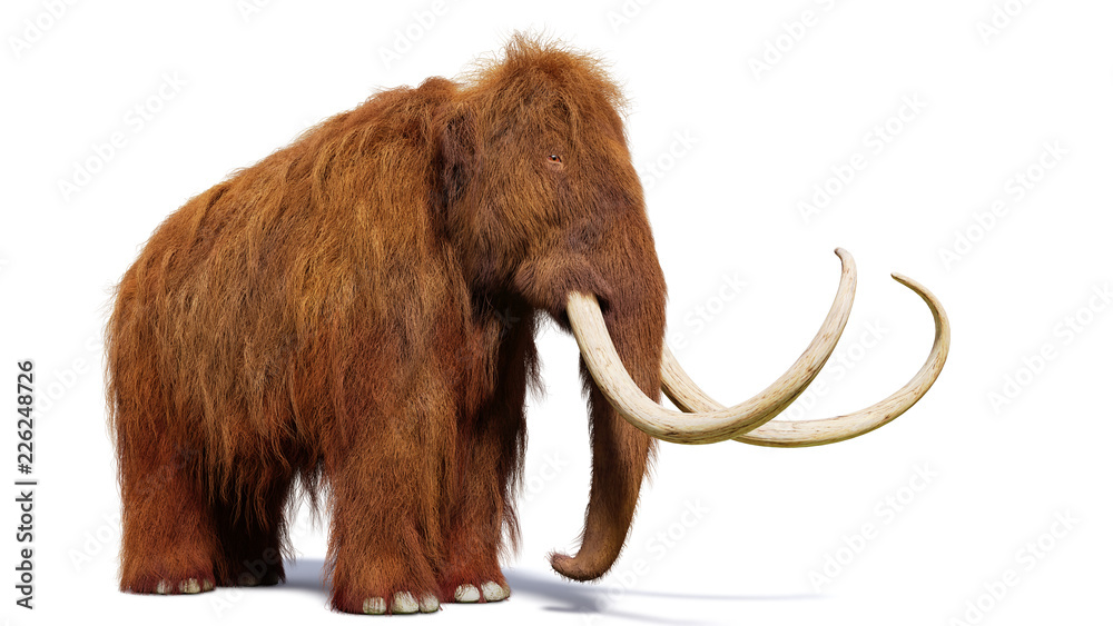 The Ancient Woolly Mammoth Being Created Again in Dallas