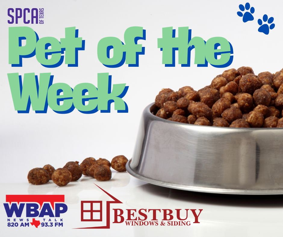 Pet of the Week