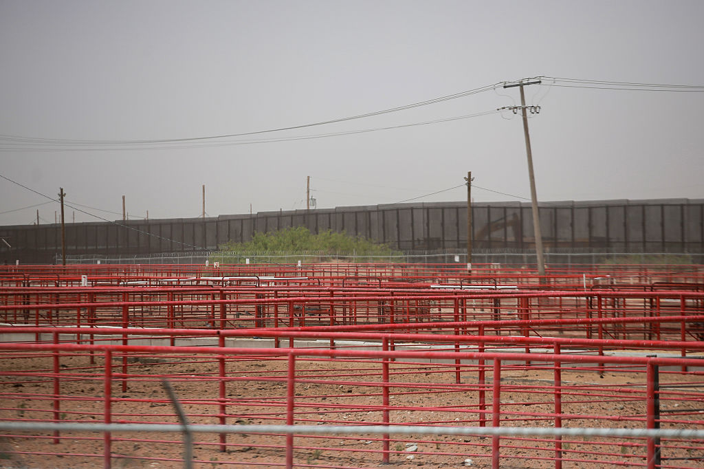 The US Plans to Build a $750 Million Dollar Fly Factory in Texas to Stop a Flesh-Eating Cattle Parasite
