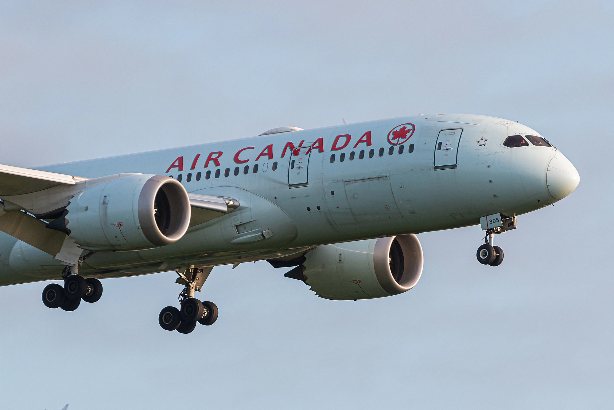 Air Canada Suspends Restart Plans After Flight Attendants Union Defies Return to Work Order