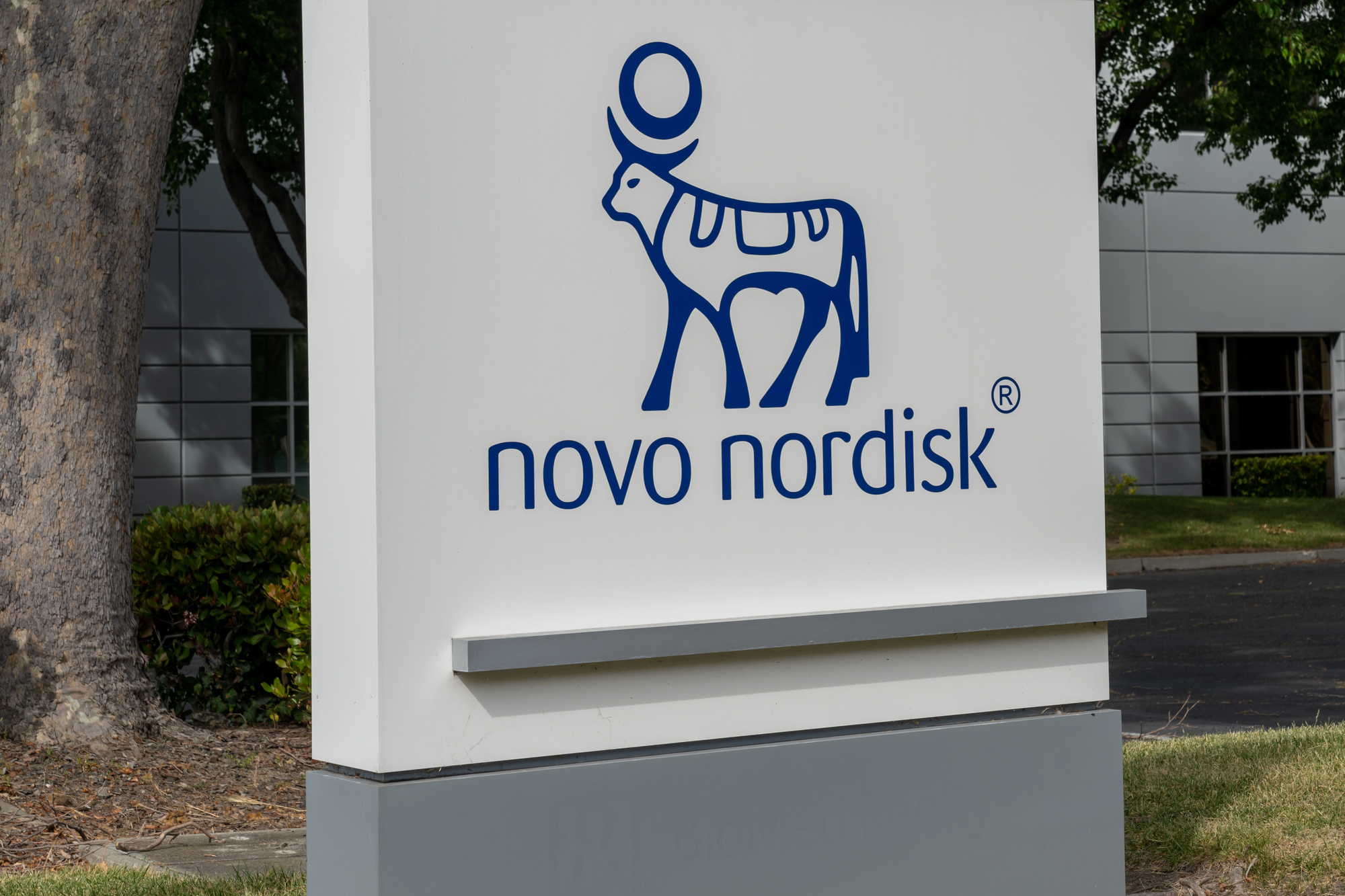 Novo Nordisk Hikes Metsera Bid to Up to $10 Billion in Competition With Rival Pfizer