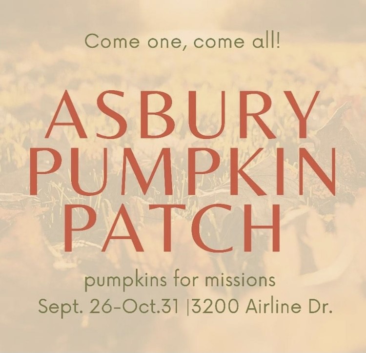 The Pumpkin Patch Is Open!