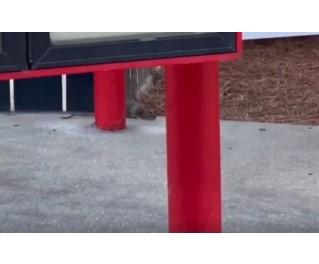 This Woman Cancelled Her Drive Thru Order After She Saw A Rat At A Shreveport Fast Food Restaurant
