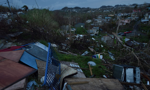 ‘Inept’ Puerto Rican Government ‘Riddled With Corruption’: CEO