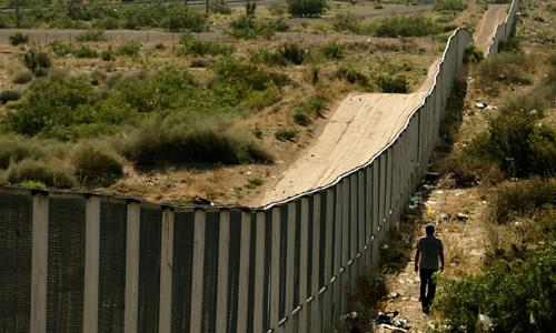 A Vote For Amnesty Is A Vote For MS-13 And Fentanyl