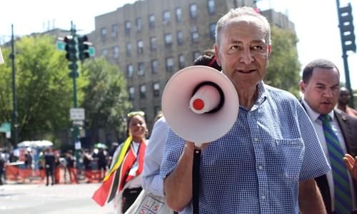 Chuck Schumer on Impeaching Trump: ‘The Sooner the Better’