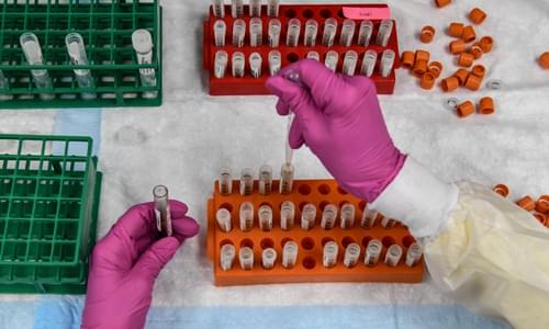 Media Lies About Pfizer Partnership With Trump Administration’s Operation Warp Speed