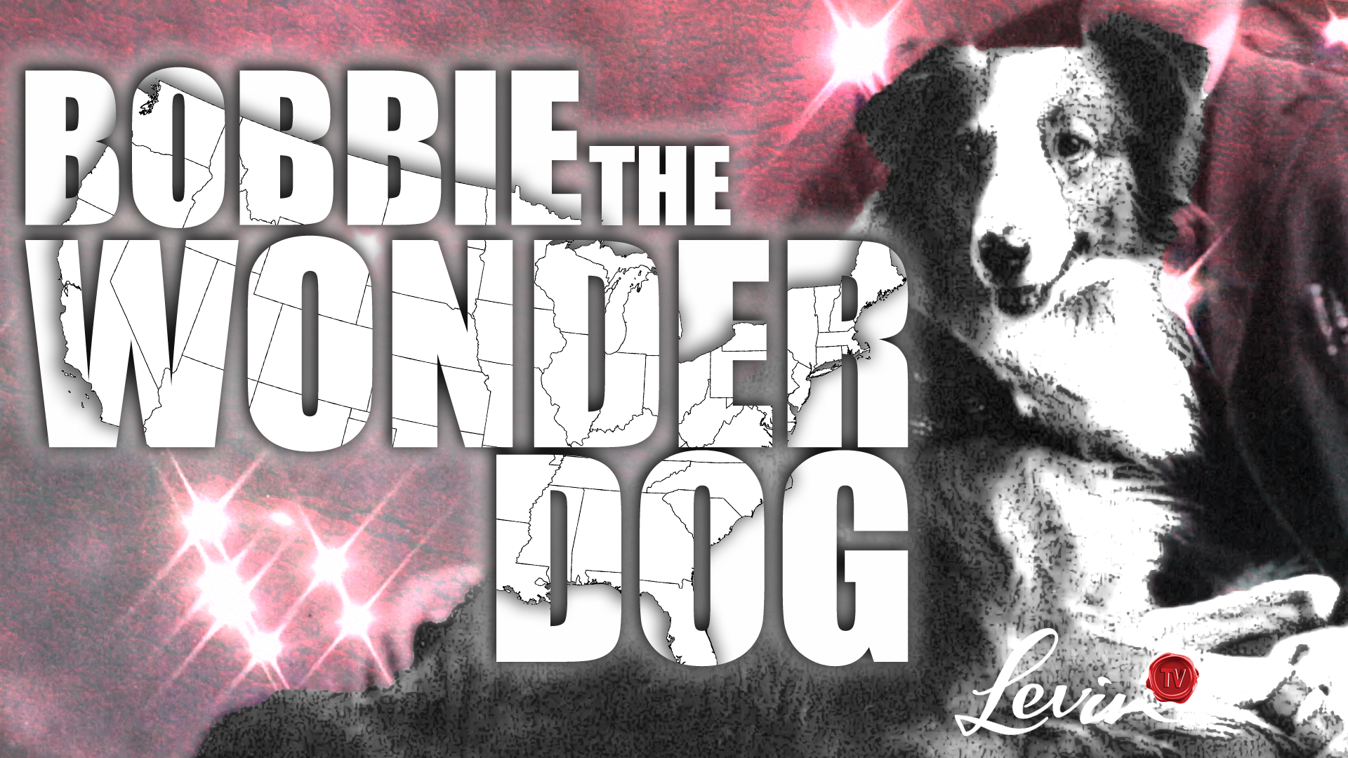 The Incredible Journey of Bobbie The Wonder Dog