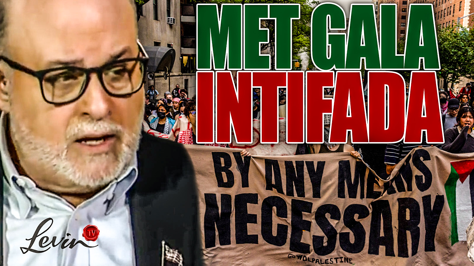 Pro-Palestinian Protestors Try to Take Over Met Gala Event