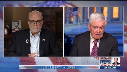 Newt Gingrich: Democrats Have 2 Different Challenges With Biden