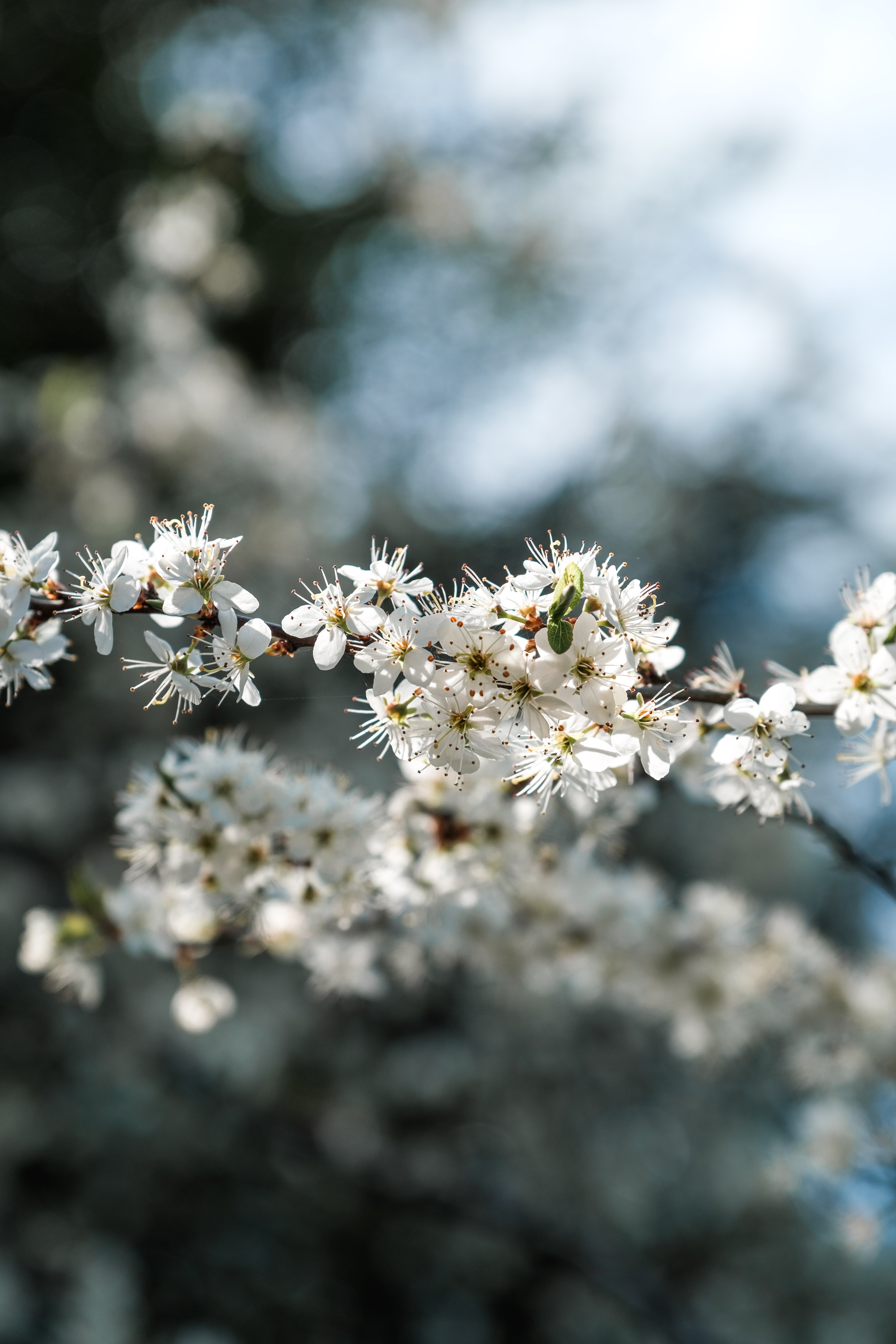 Here Are the Five Things That Make Moms the Most Disappointed on Mother’s Day