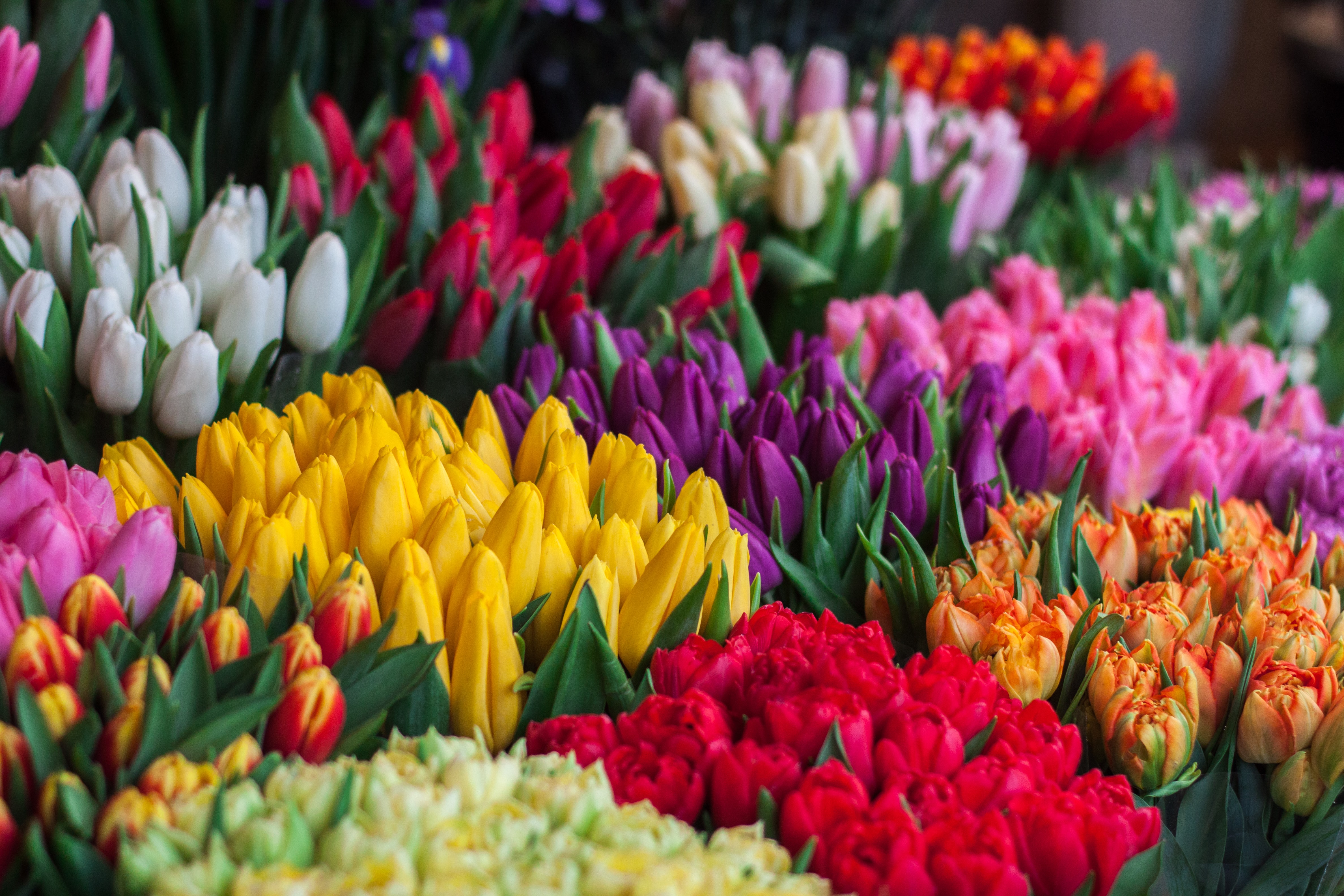 Here Are the Top Gifts Moms Want for Mother’s Day This Year
