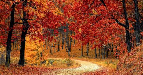 Ready to travel? Here are the closest National Parks to Shreveport