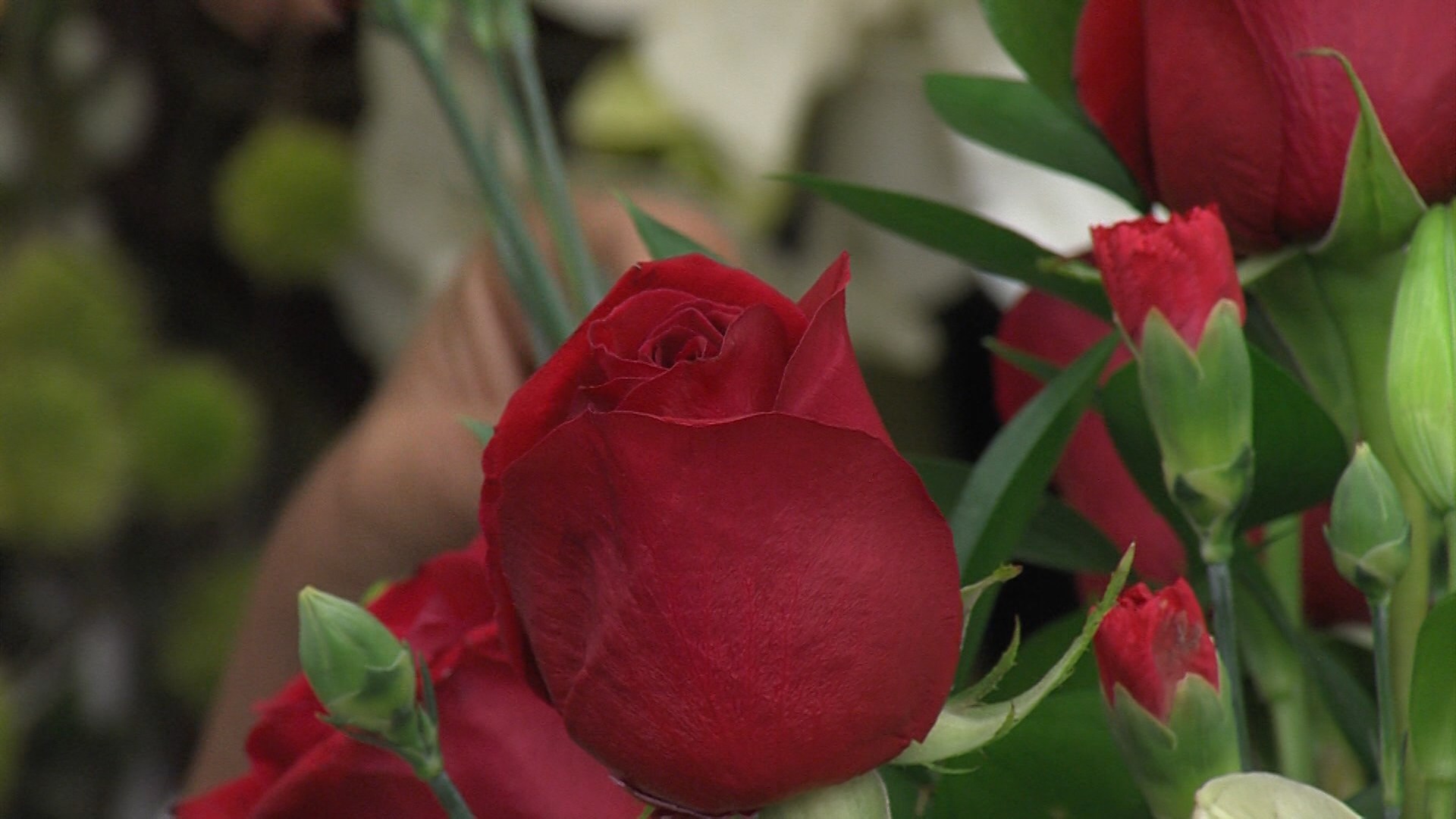 Valentine’s Day Spending